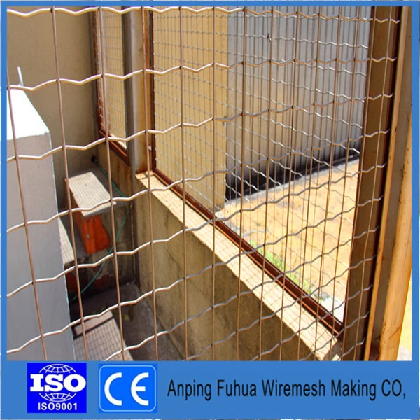 1/2" Hot DIP Electro Galvanized Welded Wire Mesh for Protection and Construction