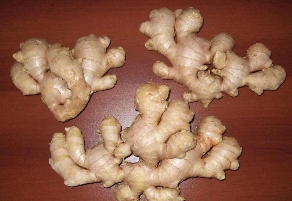 2020 New Crop Air Dry Ginger