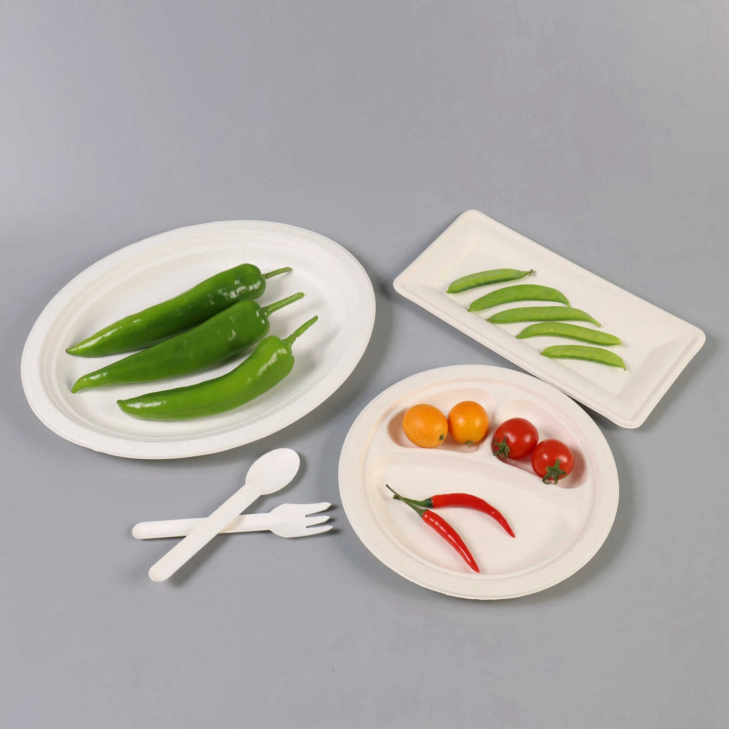 Disposable Biodegradable100% Compostable Sugarcane Bagasse Food Plates