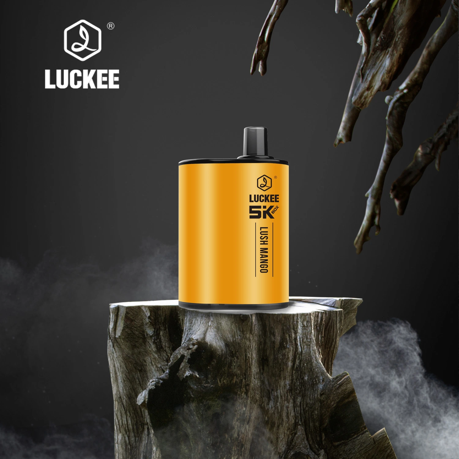 VAPE 12ml 5000puff Classic fumar Cigarette con TPD Cigarro electrónico estándar de Nuevo Diseño