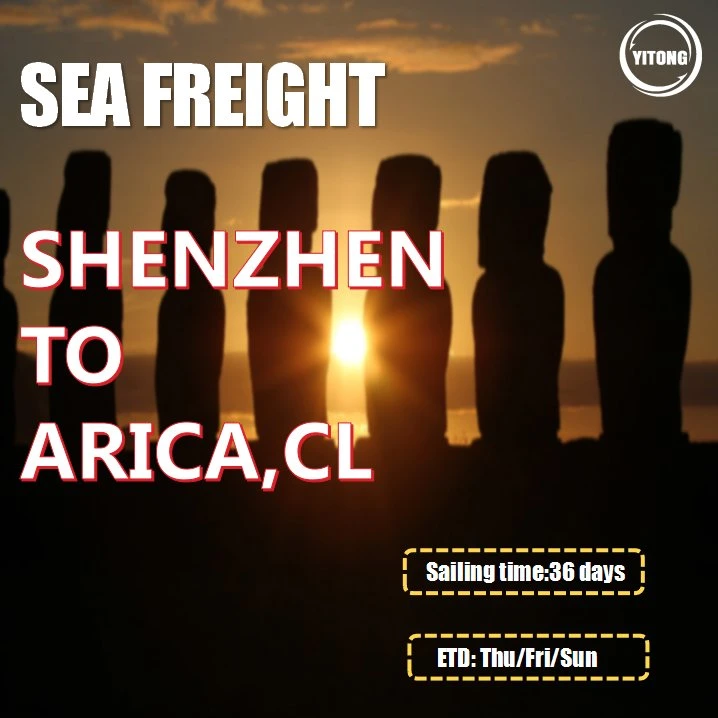 Serviço de Frete Forwarder Ocean Freight de Tianjin para Arica Chile