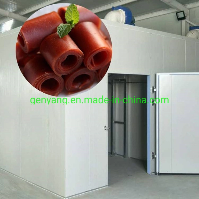 Dehydrated Fruit Leather Making Plant