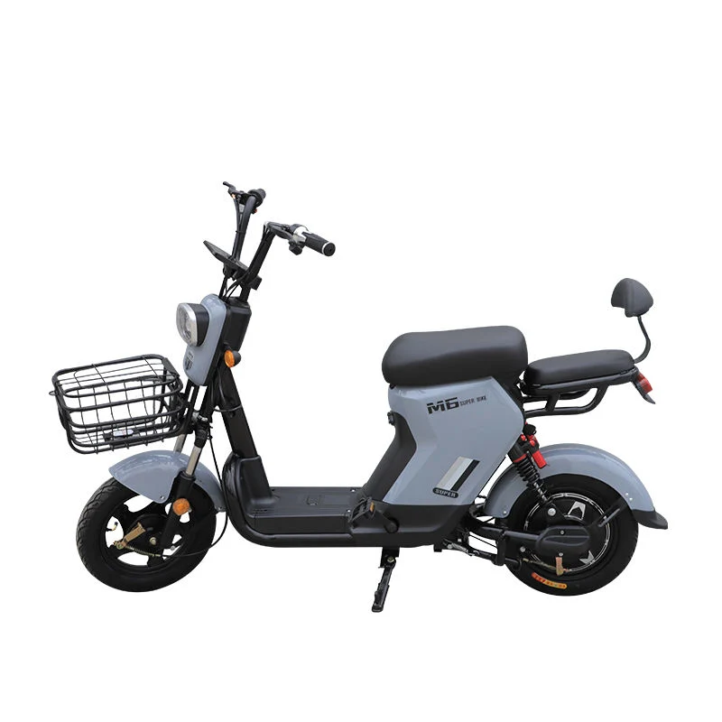 Werksversorgung E-Bike 350W City Fast Elektro Fahrrad für Dame