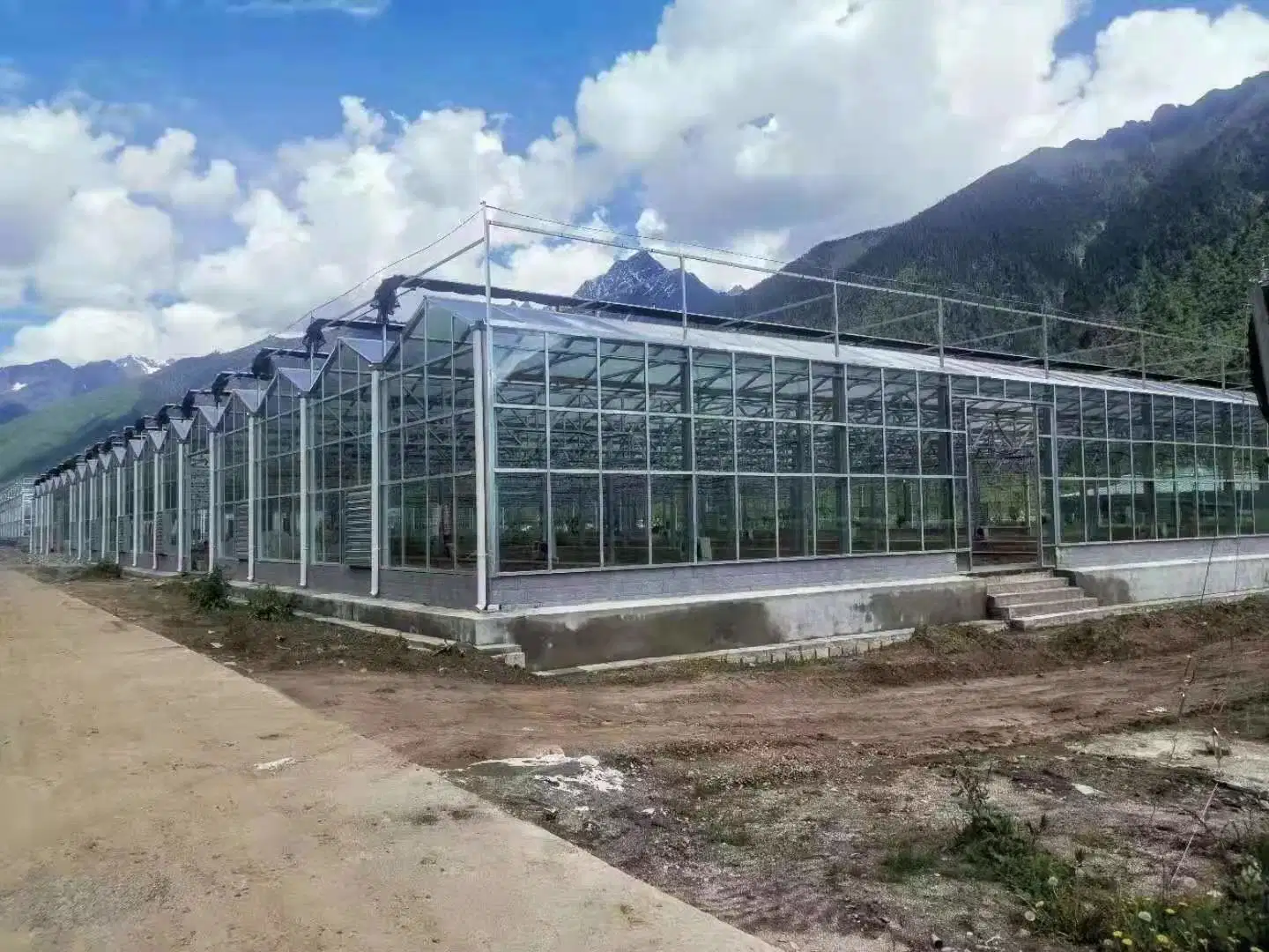 High quality/High cost performance Growing System Vertical Hydroponic System Greenhouse for Frame Vegetable