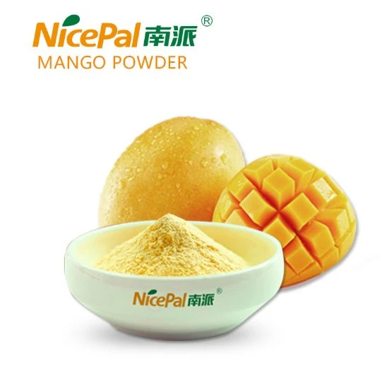 ISO Factory Directly Supply Mango Powder Fruit Powder