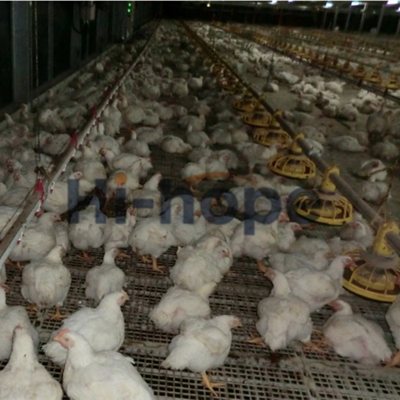 L'élevage de poulets de chair ferme buveur de montée de poulet de la volaille d'alimentation de l'équipement pour la vente