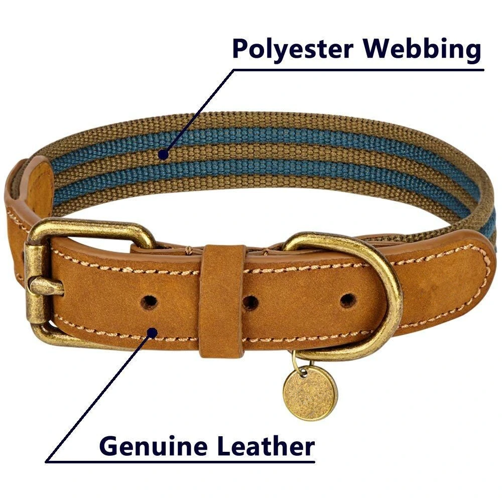 Polyester Fabric and Soft Genuine Leather Webbing Dog Pet Collar