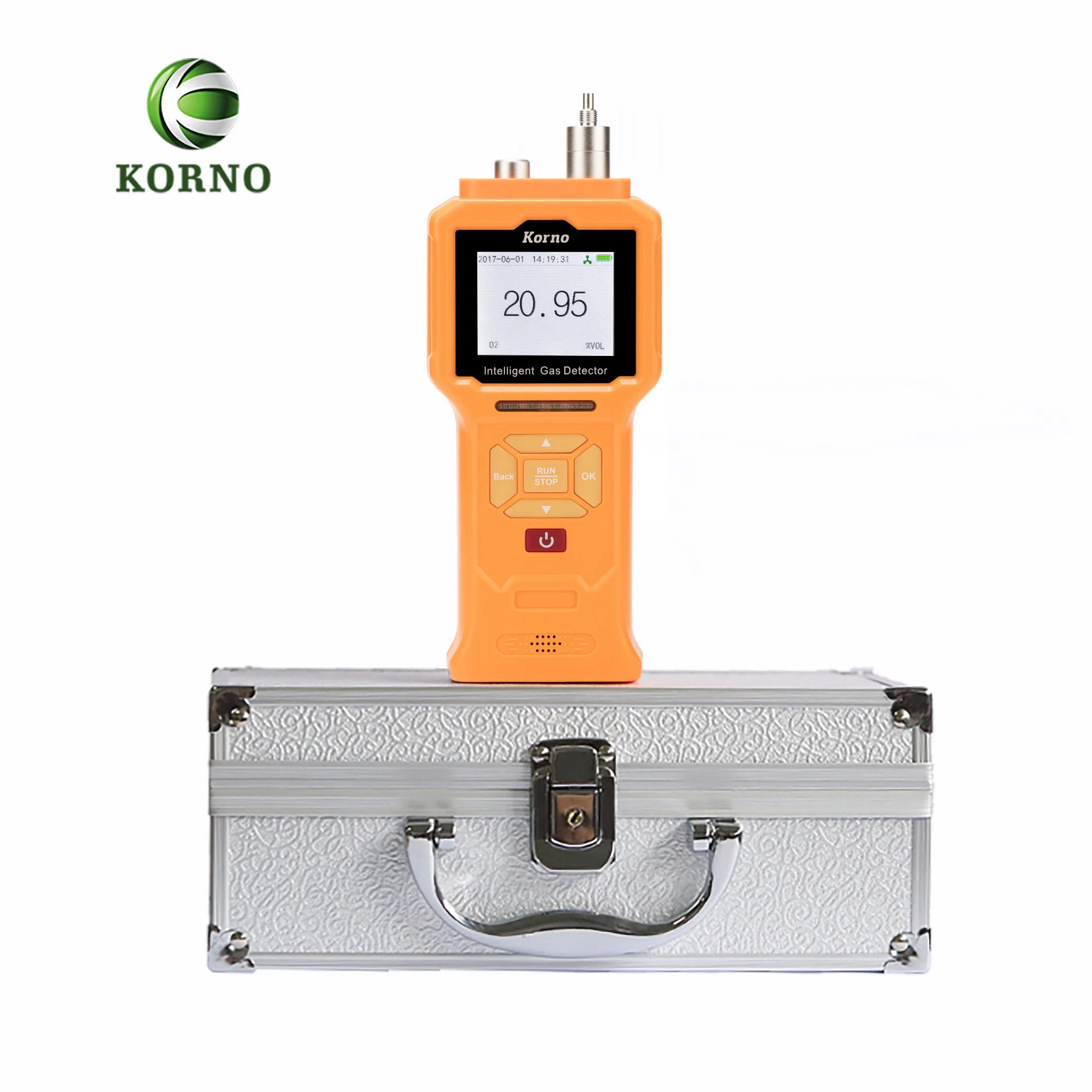 Portable IP66 Ammonia Gas Detector with Electrochemical Gas Sensor (NH3 0-100ppm)