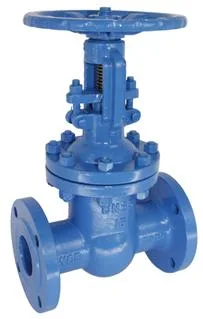 Pn25 Cast Iron Gate Valve Non Rising Stem