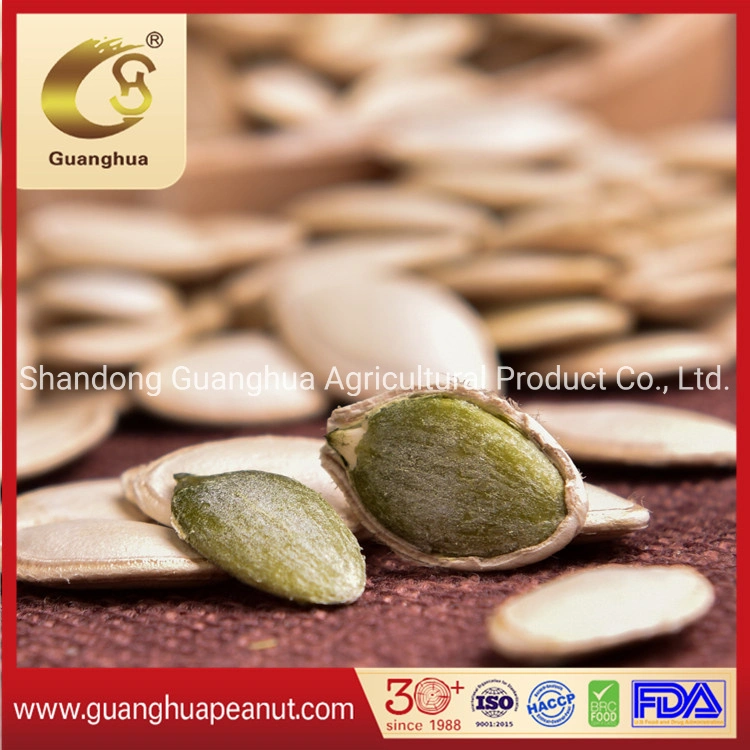 Top Rated New Crop 2022 Shine Skin Pumpkin Seed Kernels AAA