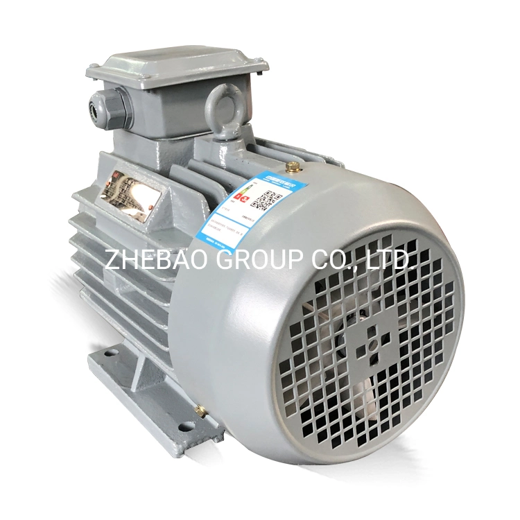 Ie3 High Efficiency Cast Iron Three Phase Induction AC Electric Motor