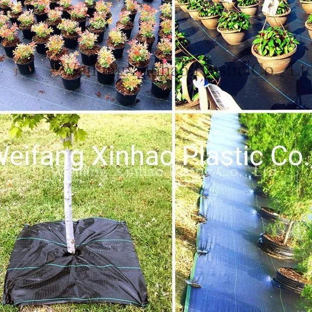 Factory Direactly Supply Anti-UV PP Woven Agricultural Weed Mat