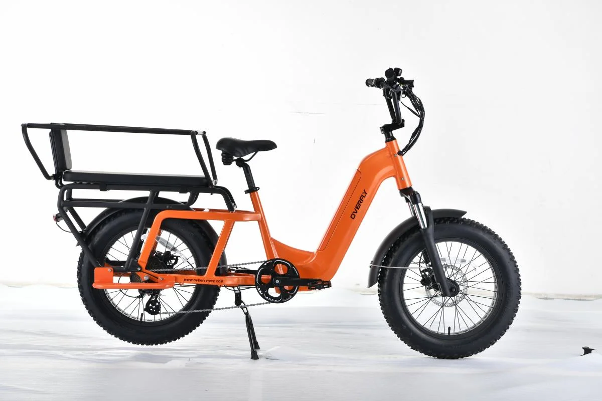 Motor de accionamiento trasero aluminio bastidor de aleación eBike con neumático de grasa