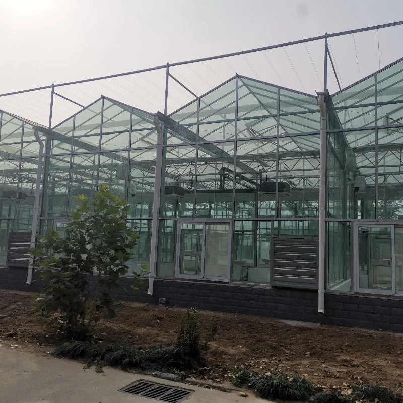 Advanced Agricultural Glass Green House with Automated Control System