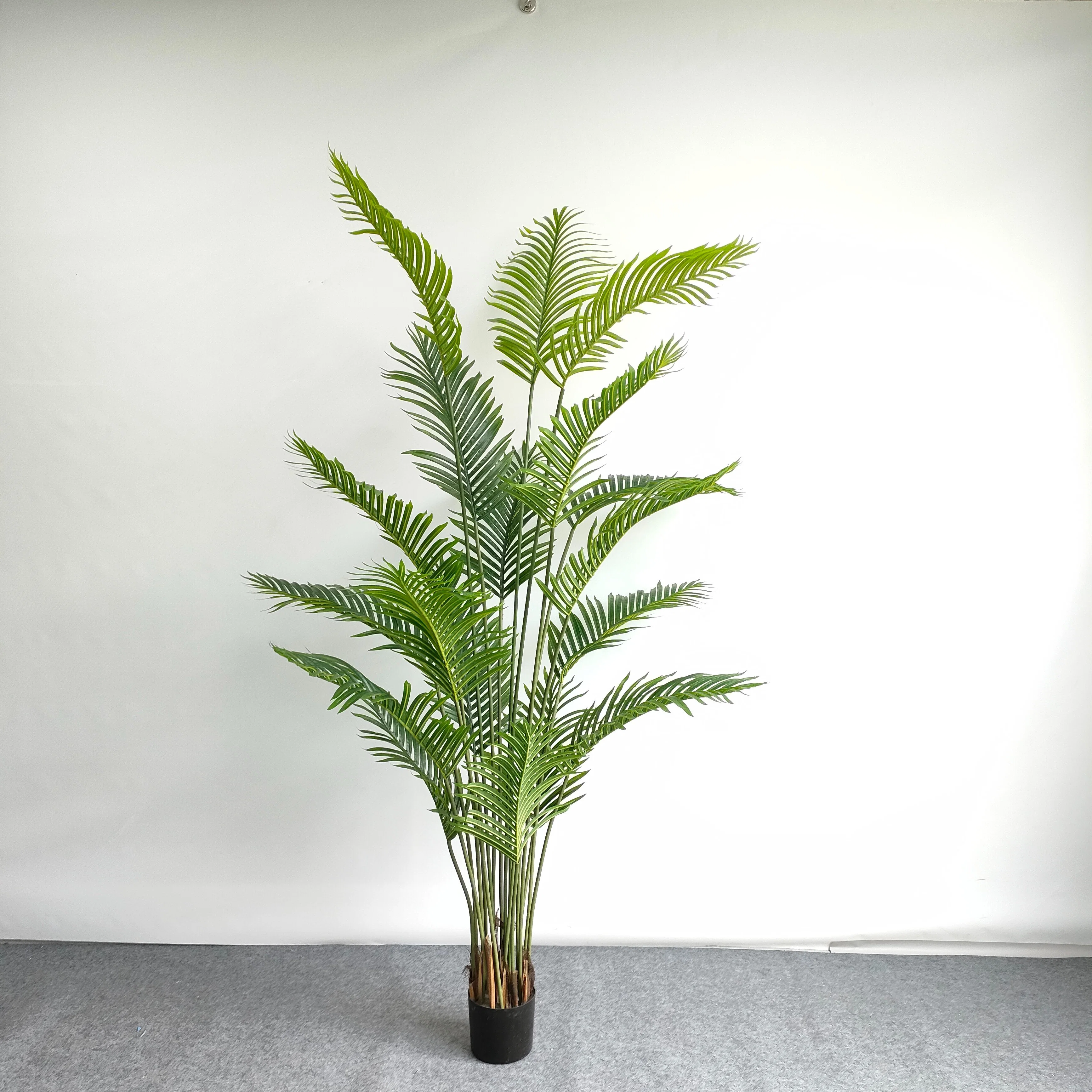 Dypsis lutescens Palmera Areca Palmera Plantas artificiales para la decoración