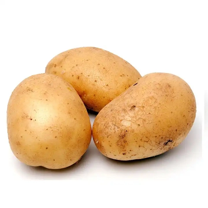 Organic Fresh Potatoes From China High quality/High cost performance Yellow Color Weight Long Shape Fresh Vegetable Potato