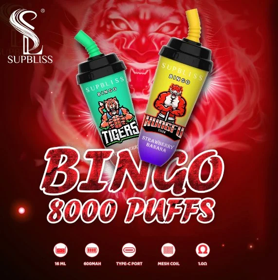 Fabrik Preis Bulk Großhandel 8000 Puffs Wiederaufladbare Mesh Coil Randm Supbliss Bingo Einweg-Vape