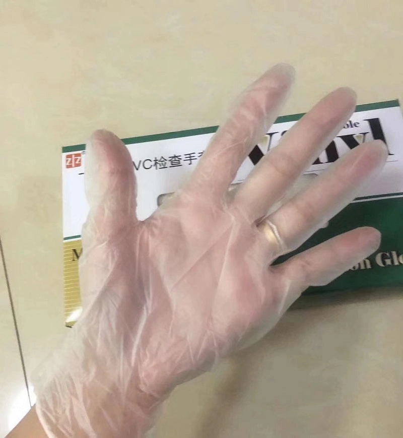 Disposable Gloves Powder Free PVC Gloves Vinyl Gloves Examination Gloves