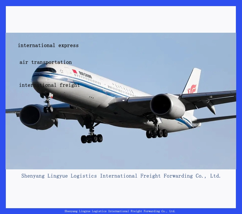 DHL UPS FedEx From China to The USA UK Air Freight Logistics Express Services