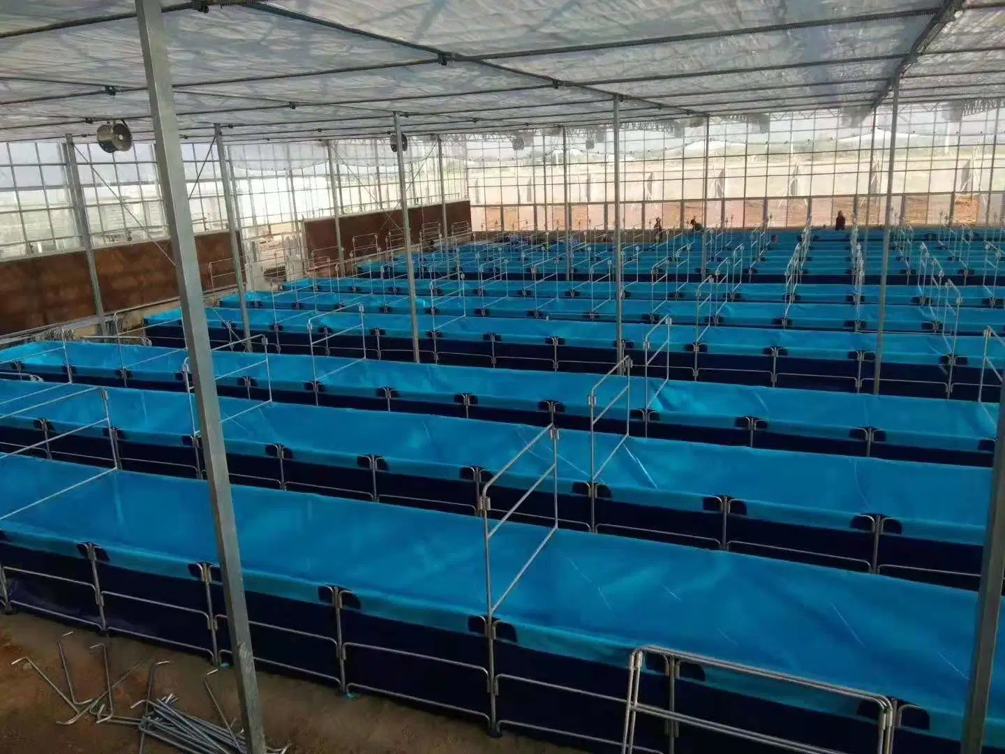 Tanques plegables de cultivo de peces de PVC para piscifactoría de camarones