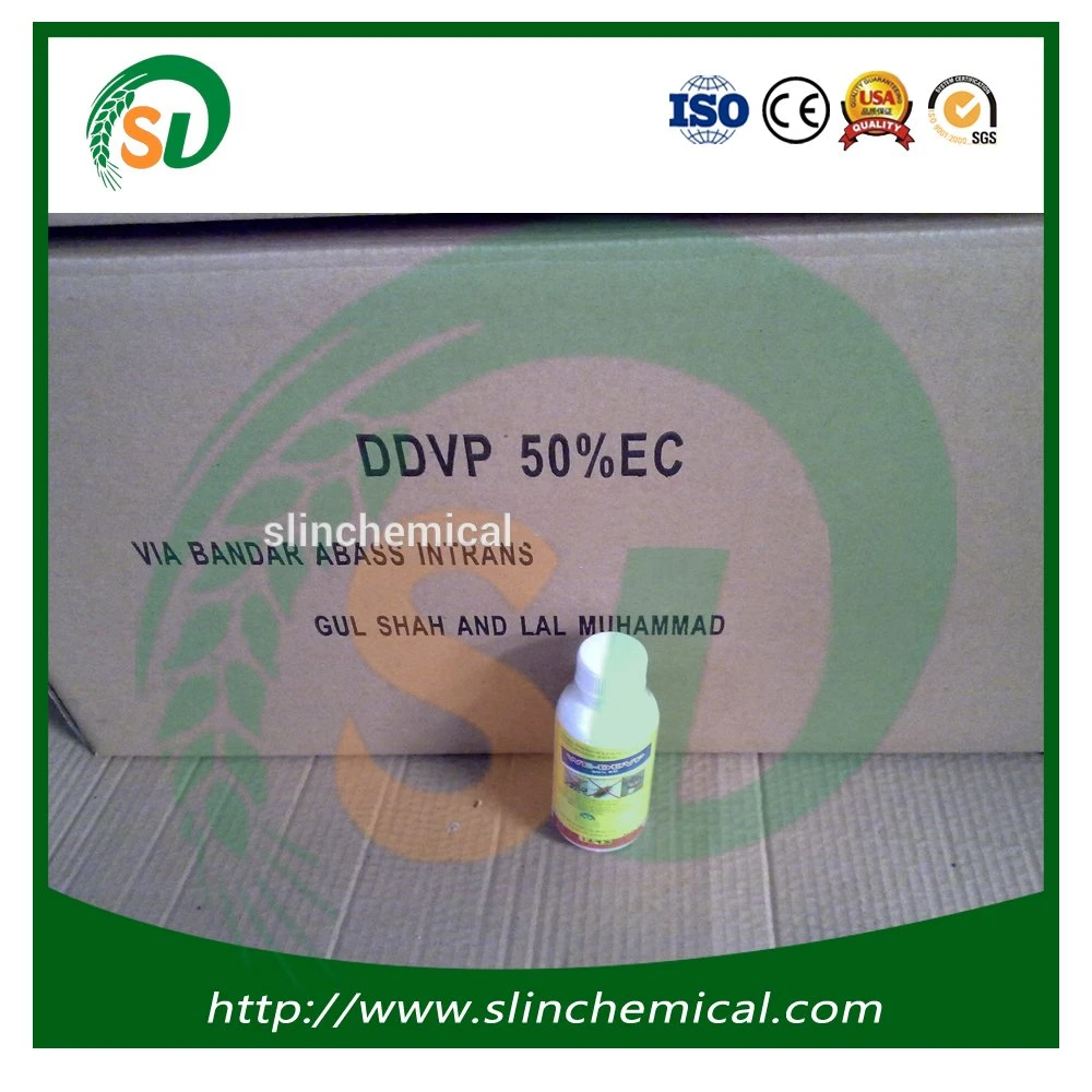 Effective Insect Killer Pesticide Dichlorvos Ddvp 98%Tc 95%Tc 100%Ec 80%Ec 50%Ec 80%Wp 50%Sc