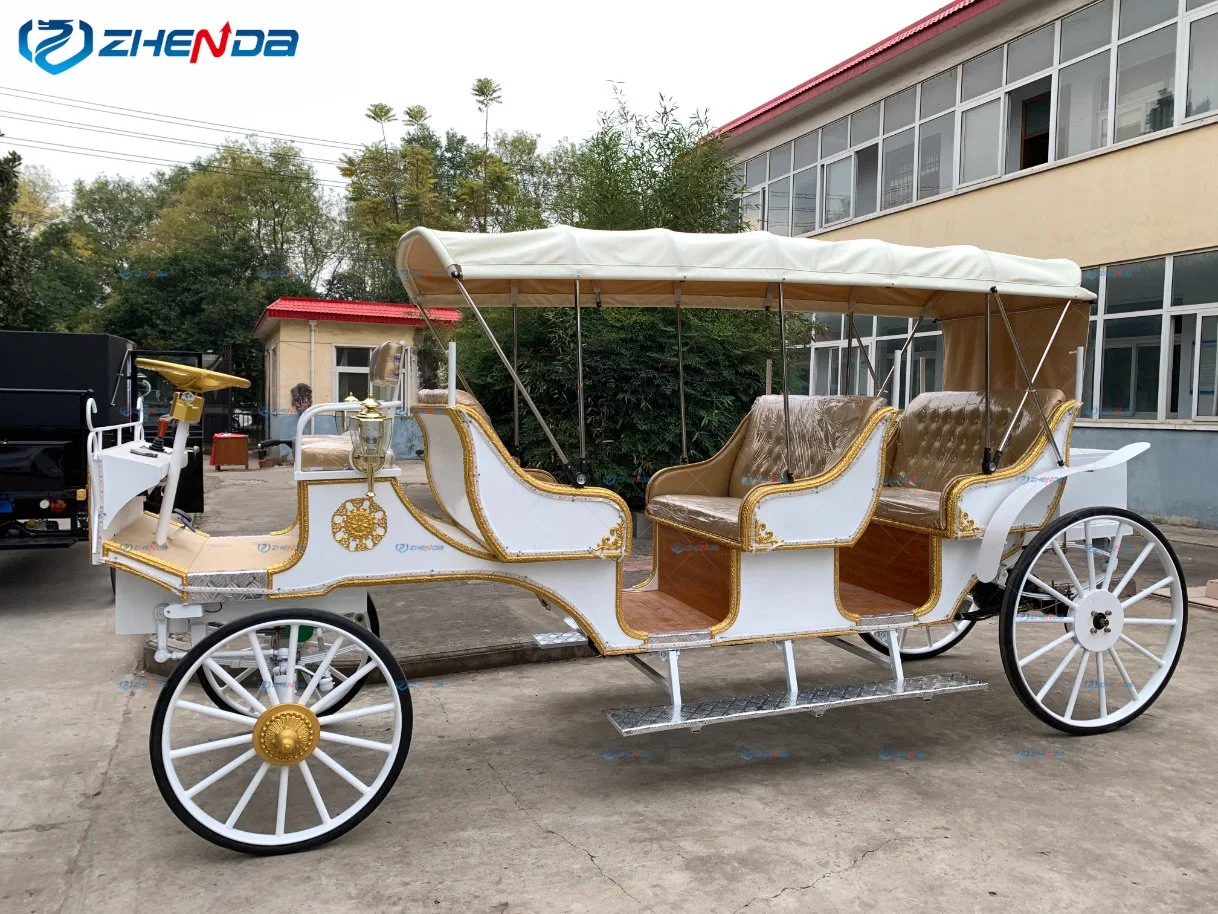 Sightseeing Tourist with Canopy High quality/High cost performance  Horse Carriage