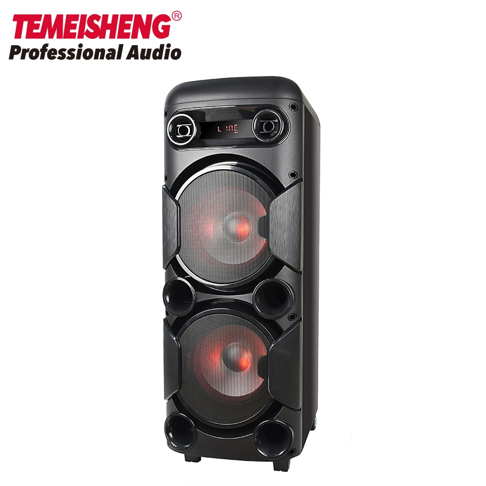 Temeisheng Double 8 Inch High Power Outdoor Blue Tooth Speakers