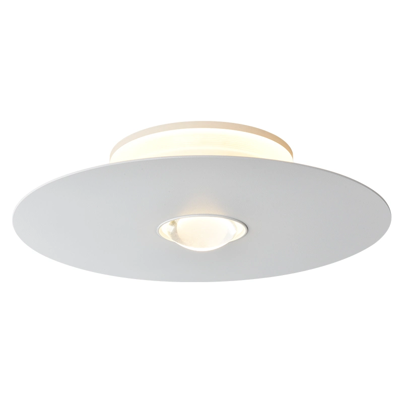 China Surface Downlight ODM Ceiling Mounted Downlight Factory Indoor Lighting