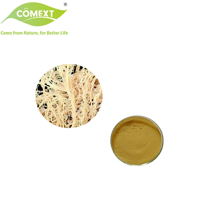 Продукт COMEXT здоровья пищевая добавка оптом Herbal Chondrus Crispus экстракт Ирландский Мосс Каррагейен Мосс экстракт