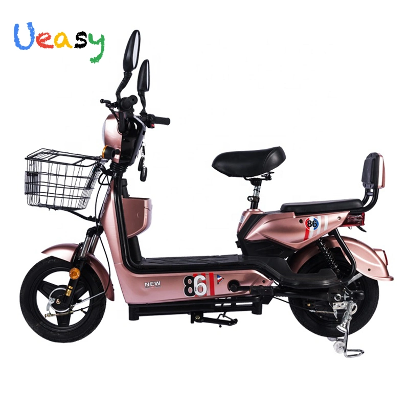 Nouveau électrique 350W 48V12ah Dirt Bike Electric acheter vélo électrique prix bon marché