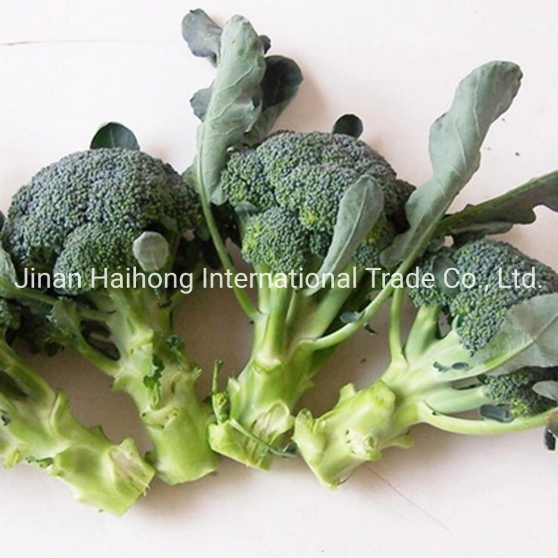 2019 New Crop Fresh Organic Broccoli