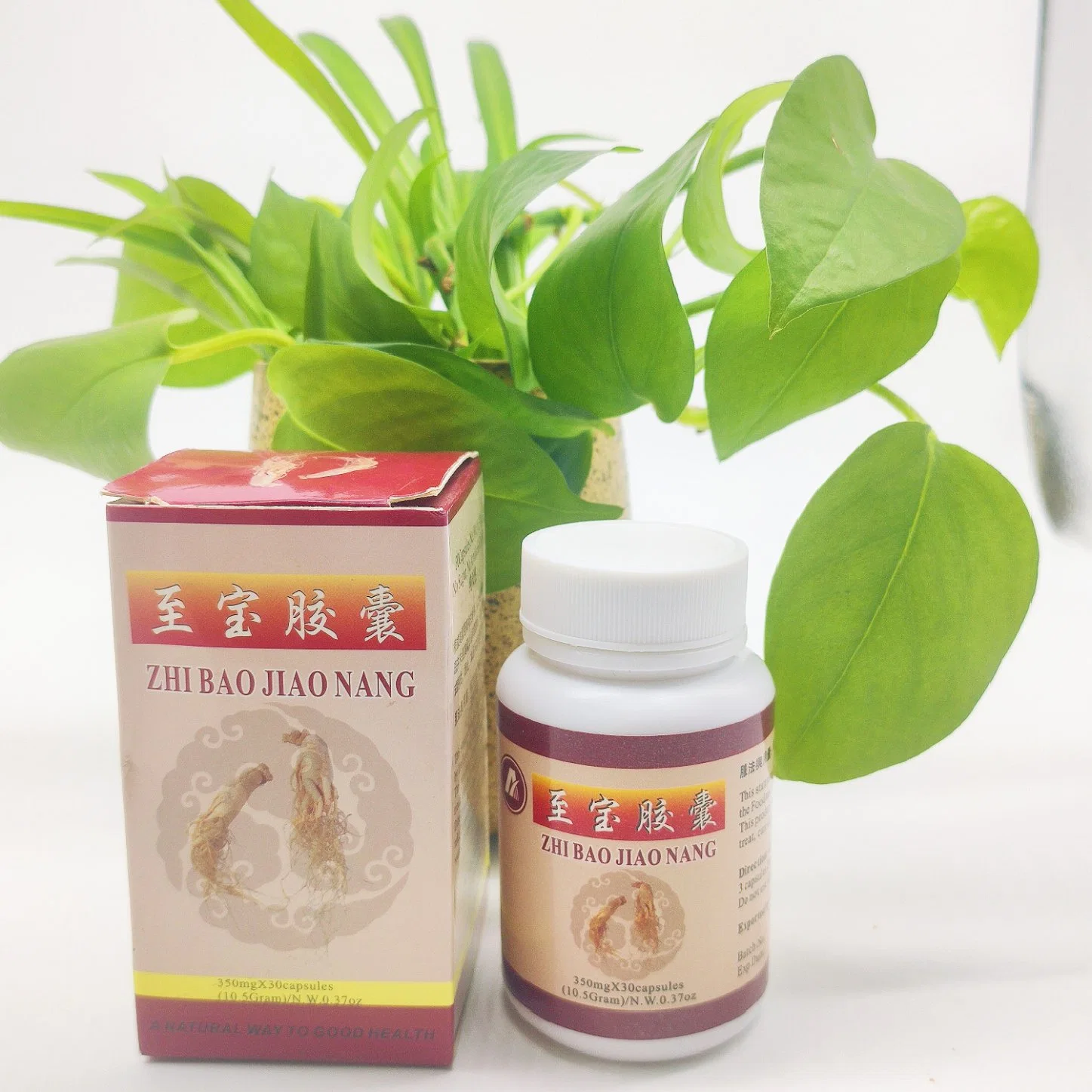 Health Food Supplement Strong Body Lasting Vitality Organic Zhibao Capsule Tonifying The Kidney