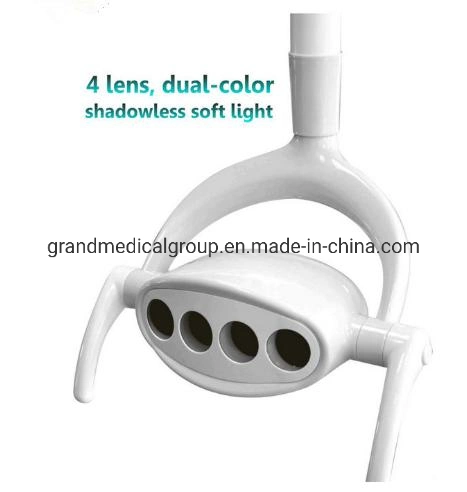 Oral Therapy Shadowless Double Color Dental Light LED Senor Dental Oral Lamp for Dental Surgical