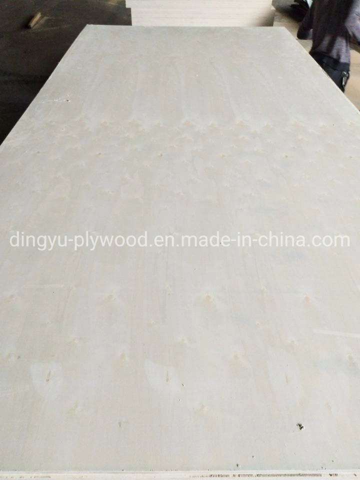 High quality/High cost performance  Mr Glue Bleached Poplar Plywood