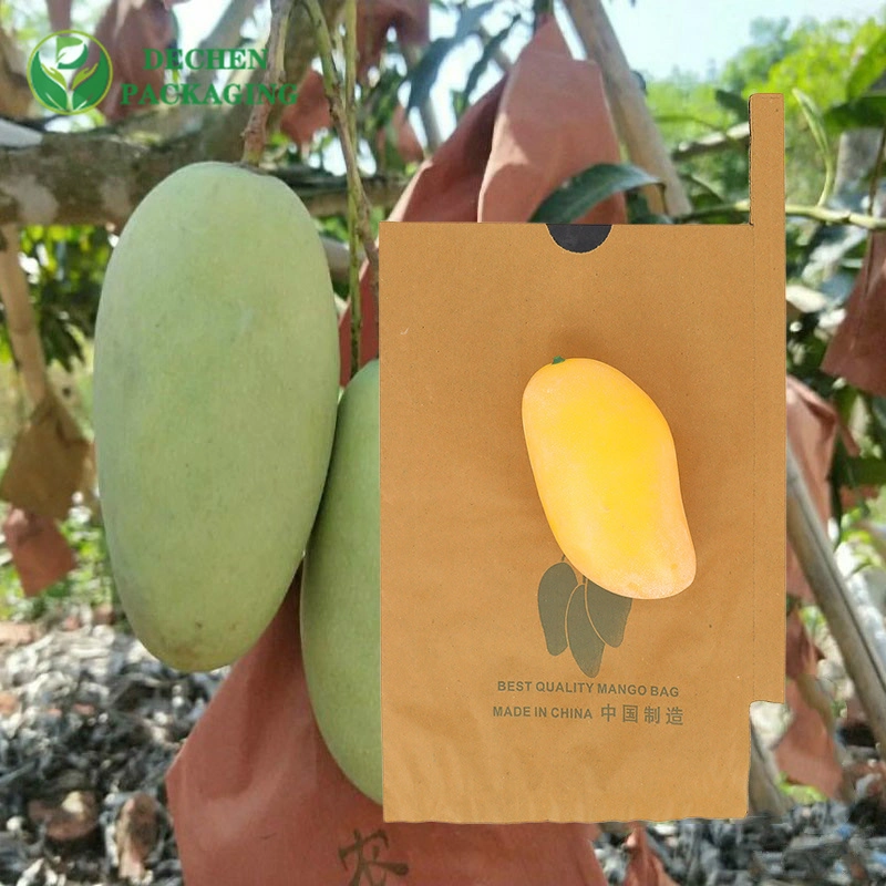 Para o cultivo de cintagem durante crescer Mango Saco de papel para embalagem