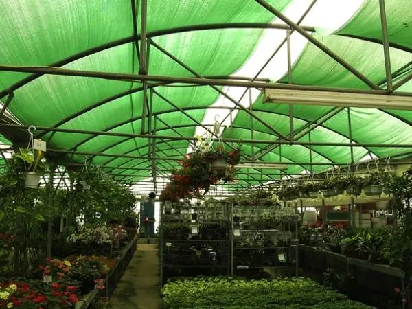 Shade Net Wholesale/Supplier