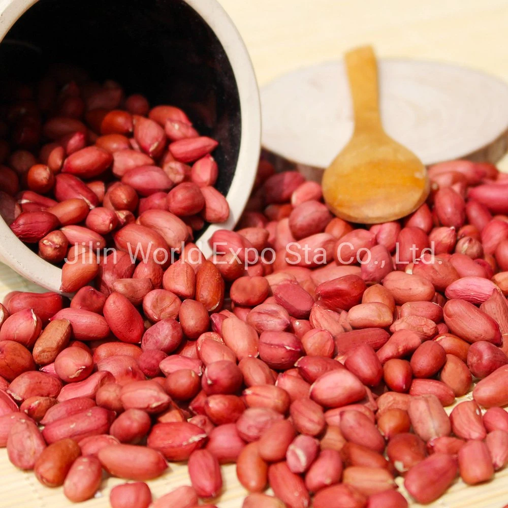 Peanut Kernels with Red Skin 80/100 From Professional Factory