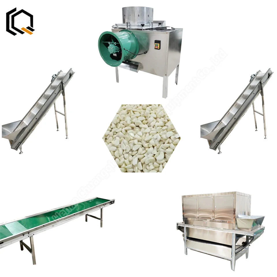 Garlic Peeling Machine Industrial Garlic Peeling Machine Automatic China Garlic Processing Production Line Garlic Peeled Garlic Price