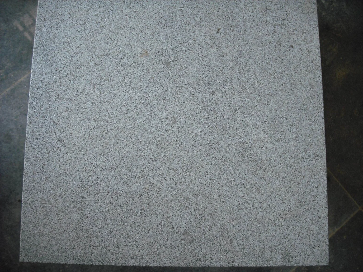 Wholesale/Supplier Cheap Granite Stone Tiles for Floor and Wall