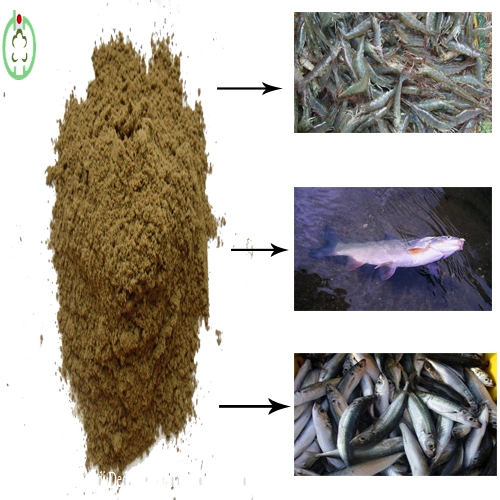 Qualité Alimentation animale La farine de poisson riches en protéines des aliments pour animaux