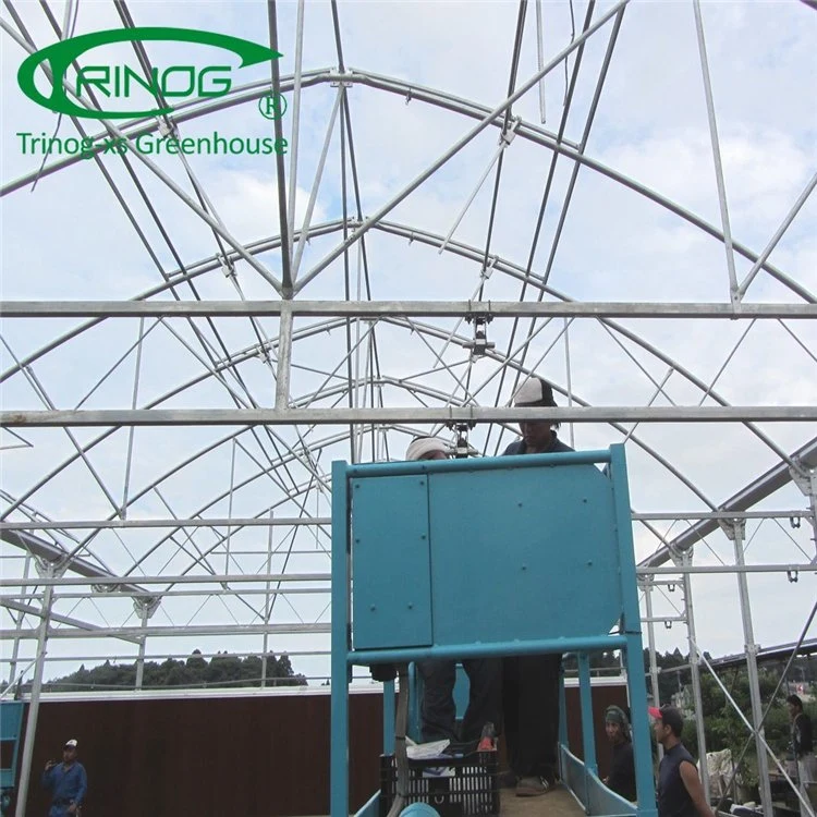 Agricultural Multi-Span Film Greenhouse with Quick Construction