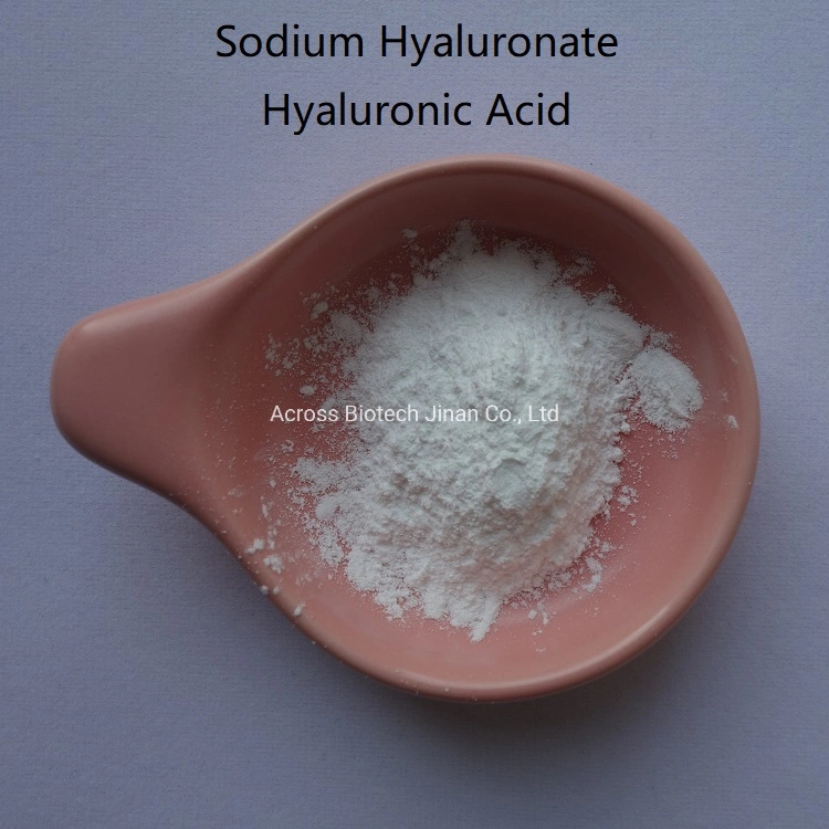 Sodium Hyaluronate Raw Powder Used in Food/Cosmetics/Medical Products