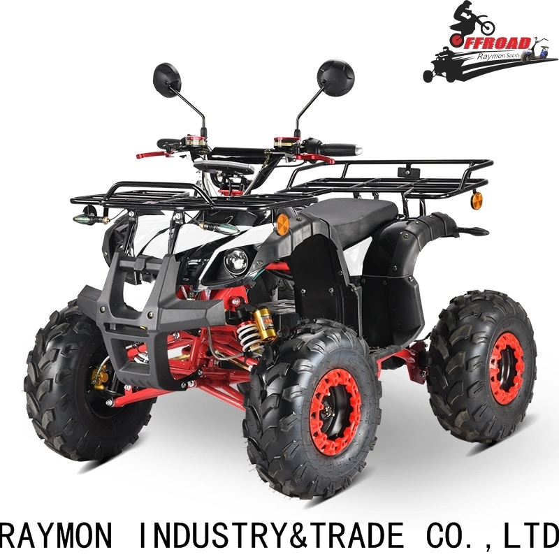 Street Legal CE 1000W 1500W ATV UTV Farm Buggy Hunting Vehicle