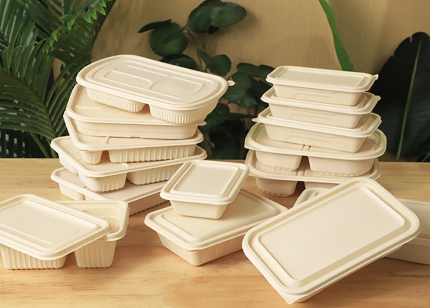 Eco Food Packaging Biodegradable Take Away Boxes Compostable Disposable Food Container