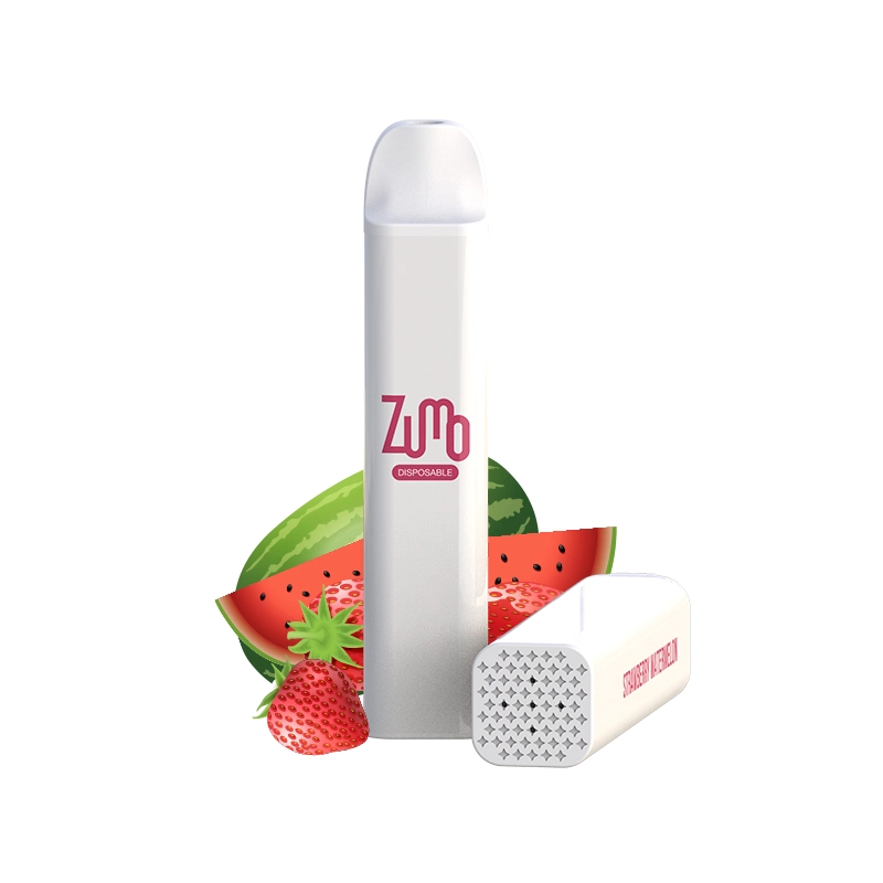 Best-Selling Fashionable and Portable 2500 Puffs Disposable/Chargeable Vape E Cigarettes 11 Flavors in Stock