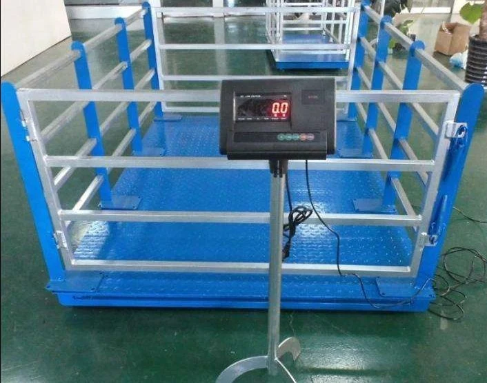 High Accuacy 1000kg Digital Cattle Livestock Weighing Scale for Pig