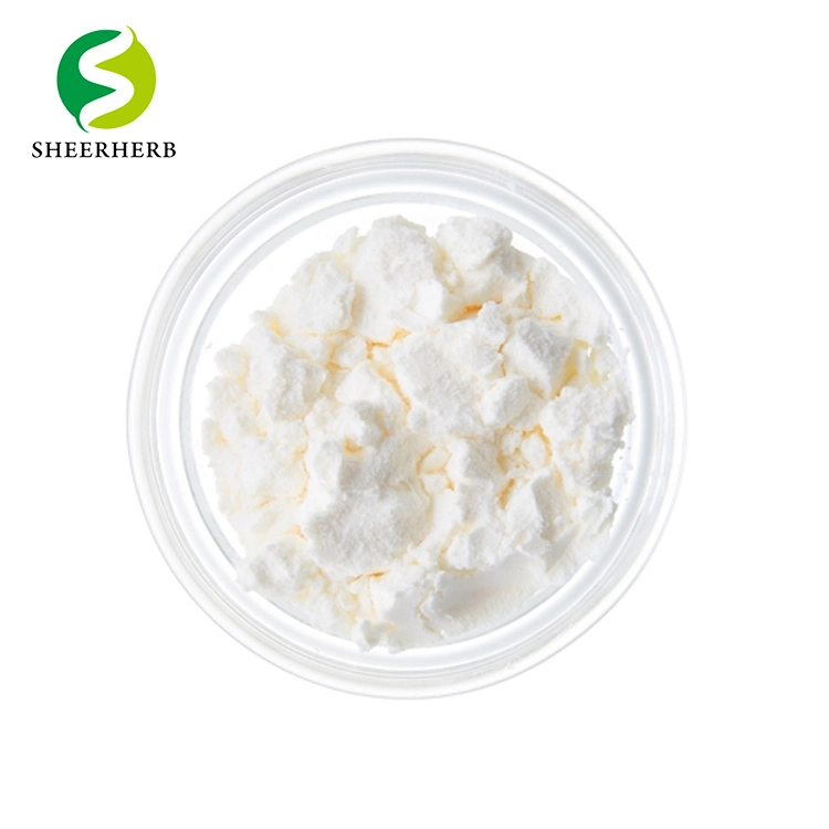 Egg-White Albumen Powder Unflavored Egg White Protein Powder Egg White Powder