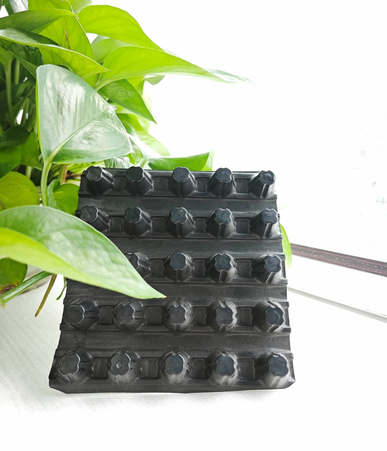 Anhui Chuangwan New Materials Product Drain Cage Drainage Board