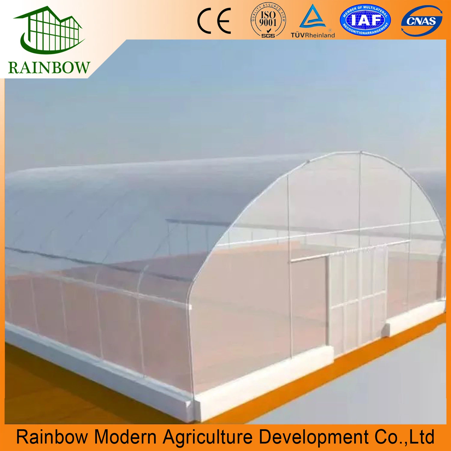 Single Span Factory Price Plastic Film Tunnel Greenhouse for Vegetable Planting