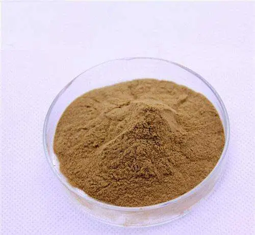 Plant Extract Schisandra Berry Extract Powder Schisandra Chinensis Extract